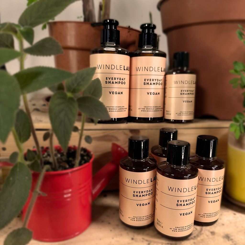 Windle Lab Everyday Shampoo