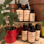 Windle Lab Everyday Shampoo