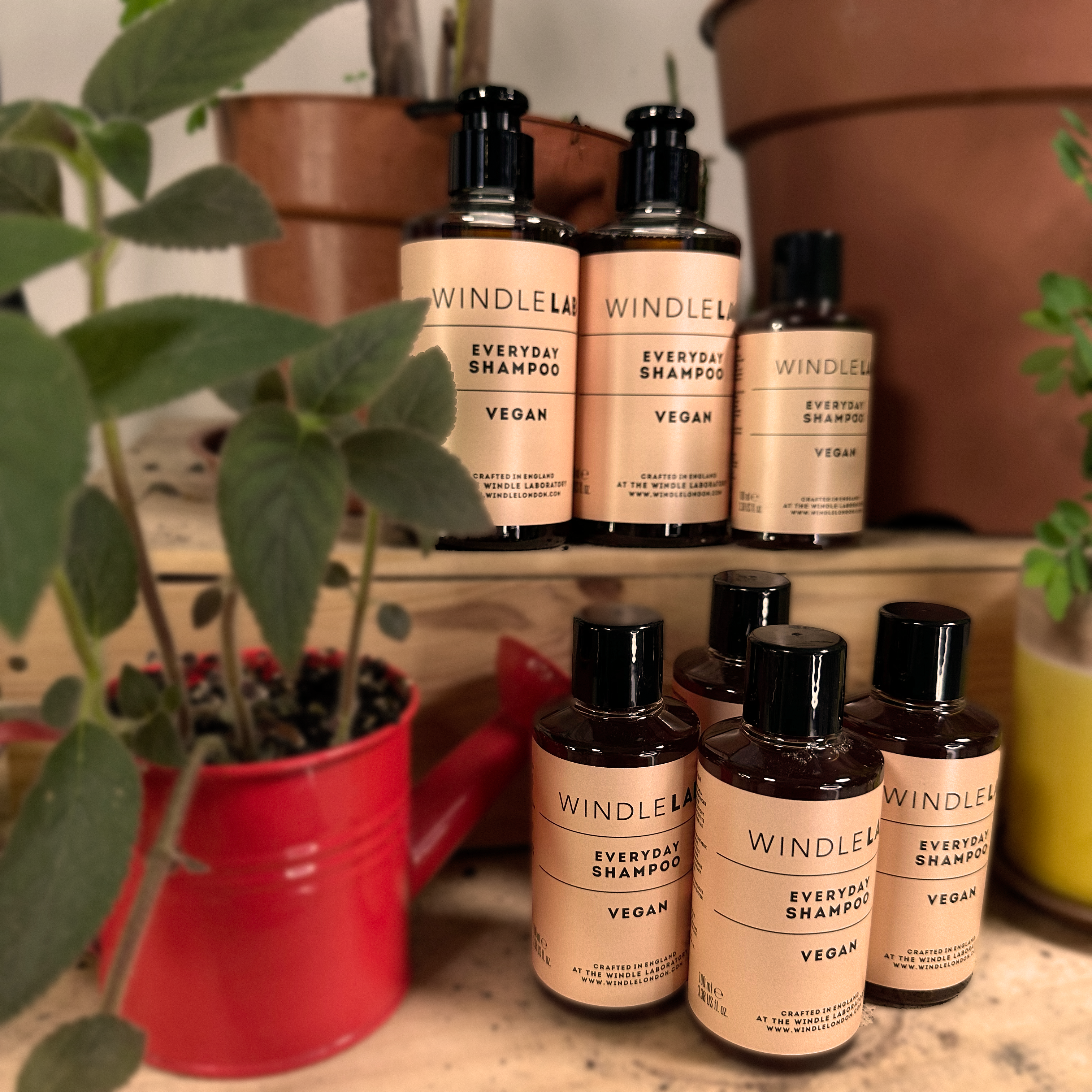 Windle Lab Everyday Shampoo