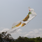 V.Stitch SPIN-ON-STUDD Silk Scarf
